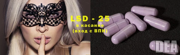 spice Каменногорск