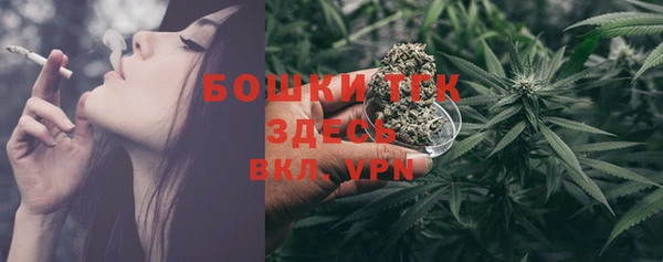 экстази Каменка