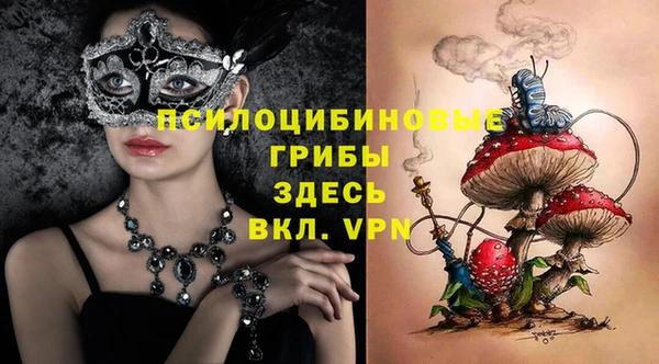 экстази Каменка
